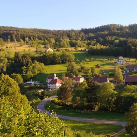 Bed and Breakfast La Mansarde Aux Digitales La Croix-aux-Mines Esterno foto