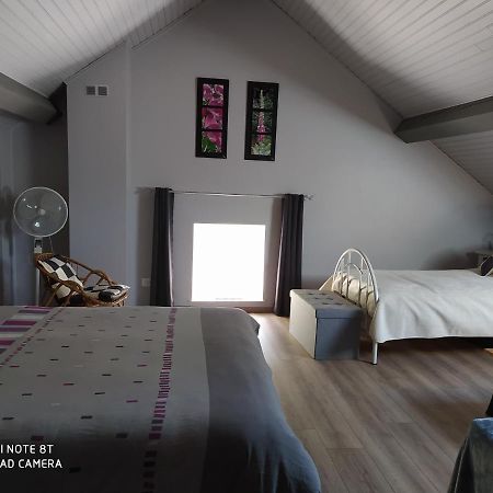 Bed and Breakfast La Mansarde Aux Digitales La Croix-aux-Mines Esterno foto