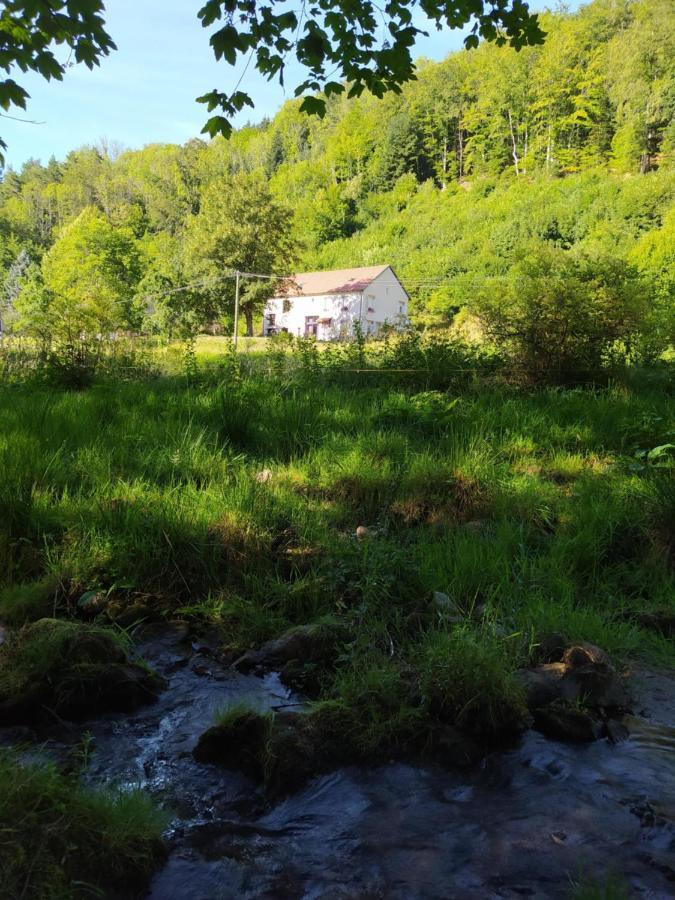 Bed and Breakfast La Mansarde Aux Digitales La Croix-aux-Mines Esterno foto