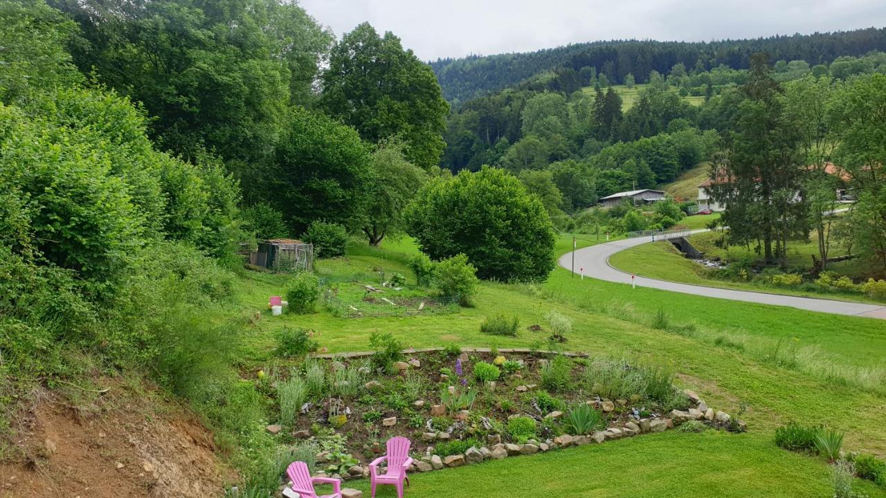Bed and Breakfast La Mansarde Aux Digitales La Croix-aux-Mines Esterno foto