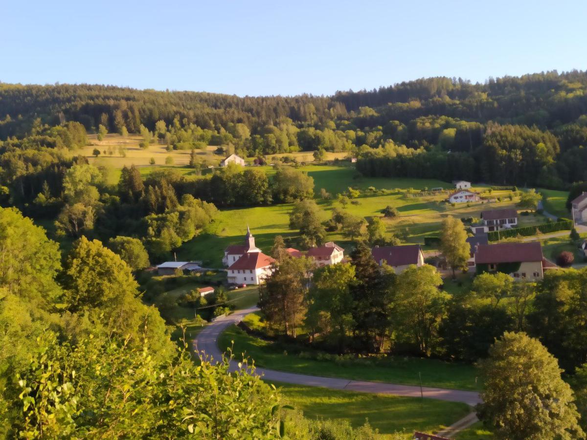 Bed and Breakfast La Mansarde Aux Digitales La Croix-aux-Mines Esterno foto